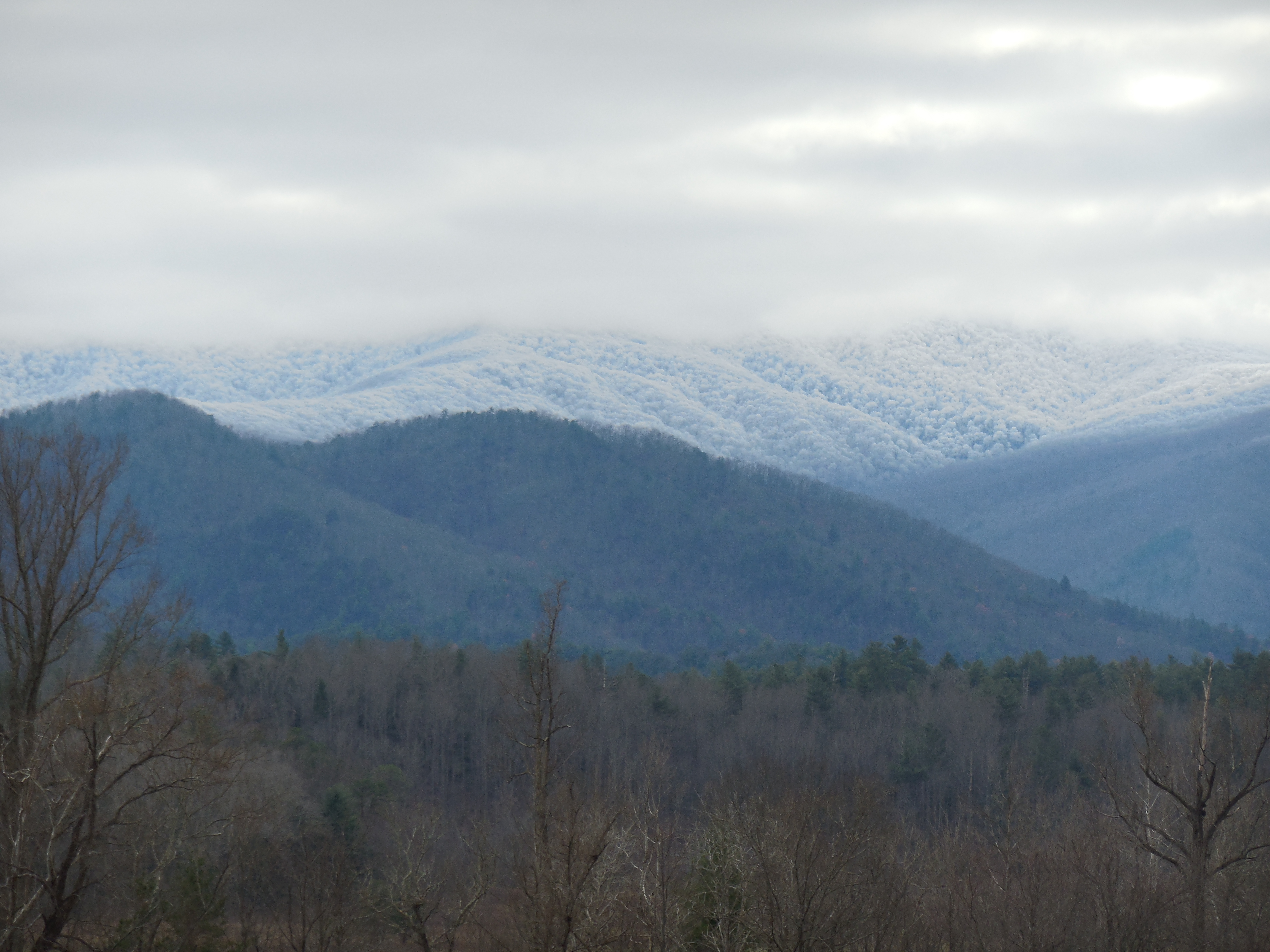 The Great Smokey Mountains