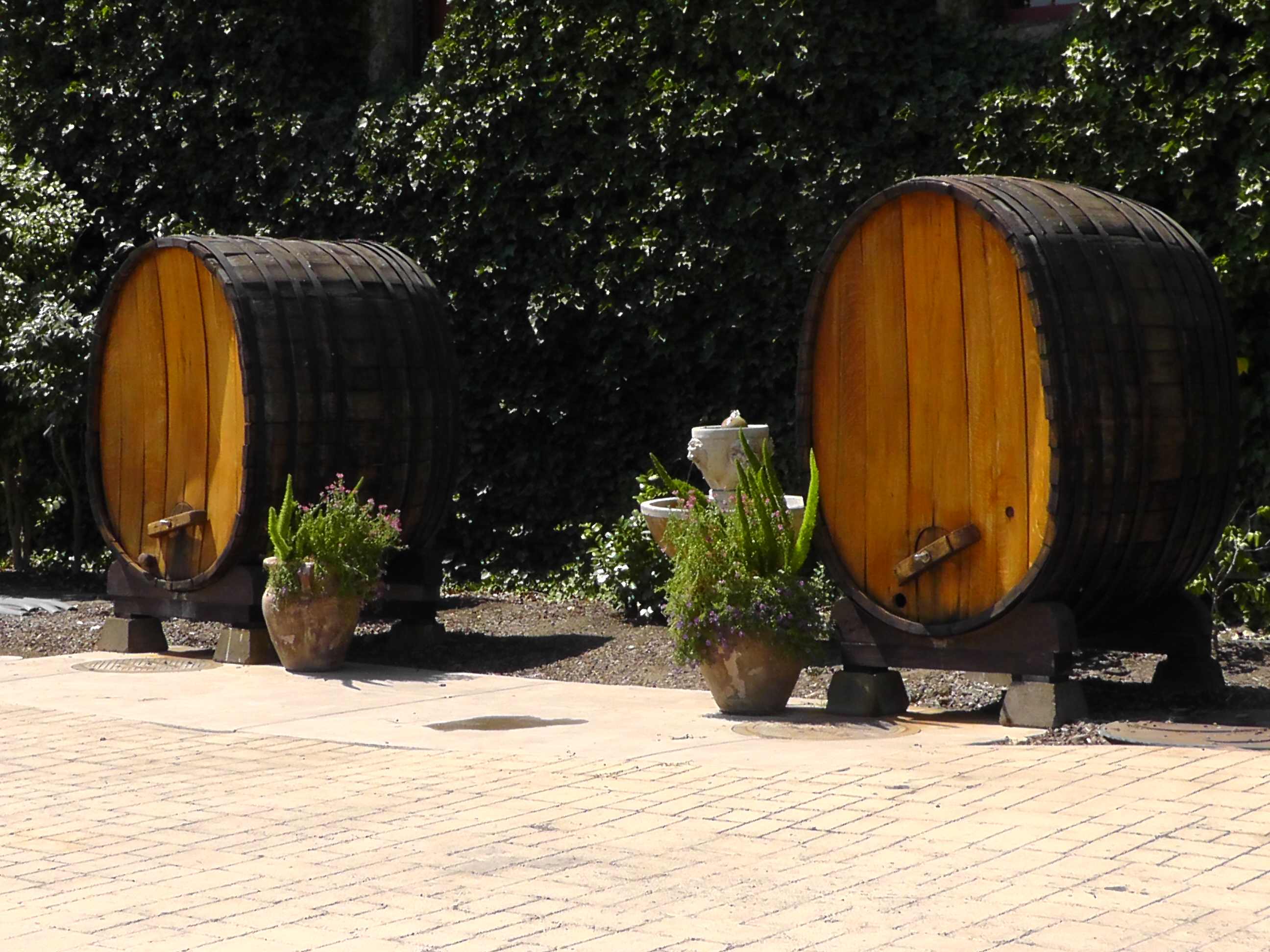 Napa and Sonoma Wine Country